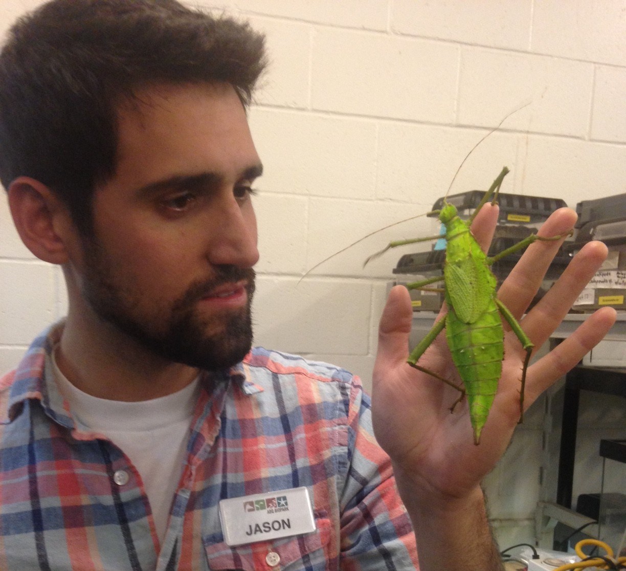 For the Love of the Bugs — City of Albuquerque